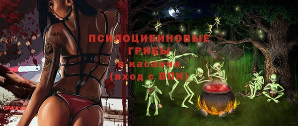 индика Алексин