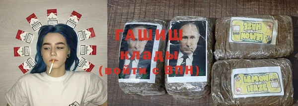 гашик Абаза
