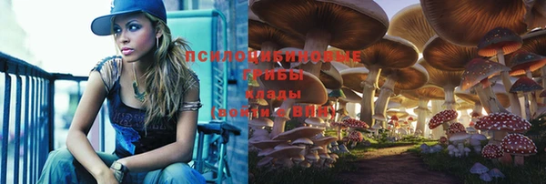 индика Алексин